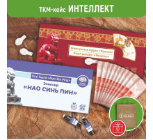Кейс «Интеллект»