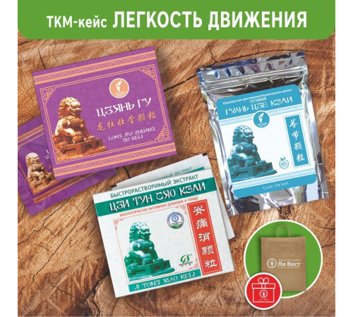 Кейс «Легкость движения»