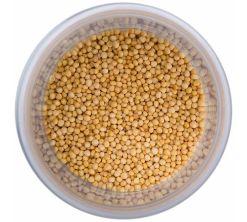 Горчица желтая (семена), 100 г.