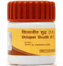 Шиладжит Шудх Дивья (Shilajeet Shuddh Divya), 20 г.