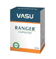 Ренджер Васу (Ranger Vasu), 30 кап.